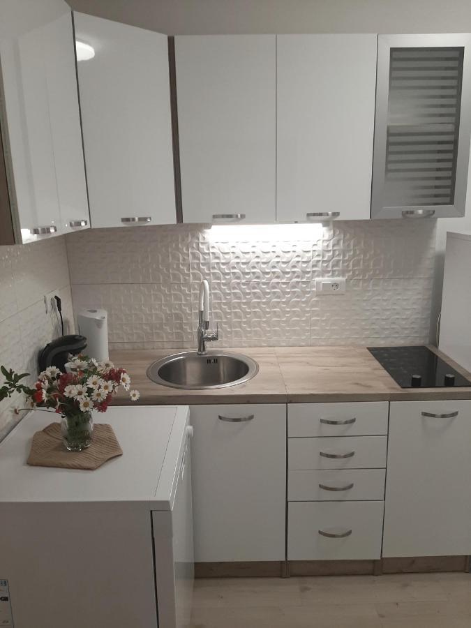 Apartman Maslina ピサック エクステリア 写真
