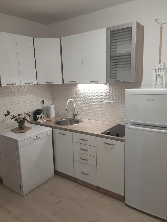 Apartman Maslina ピサック エクステリア 写真